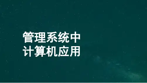 自考00051管理系统中的应用 考点知识点汇总