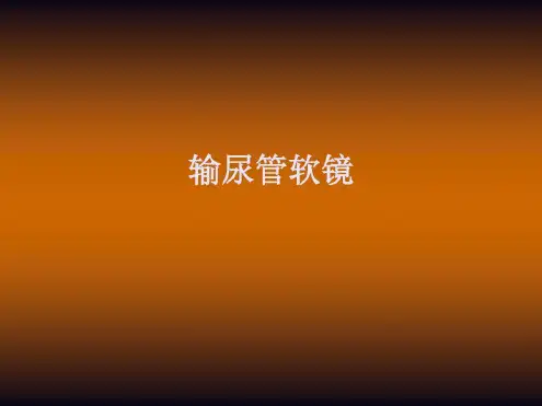 培训学习资料-输尿管软镜