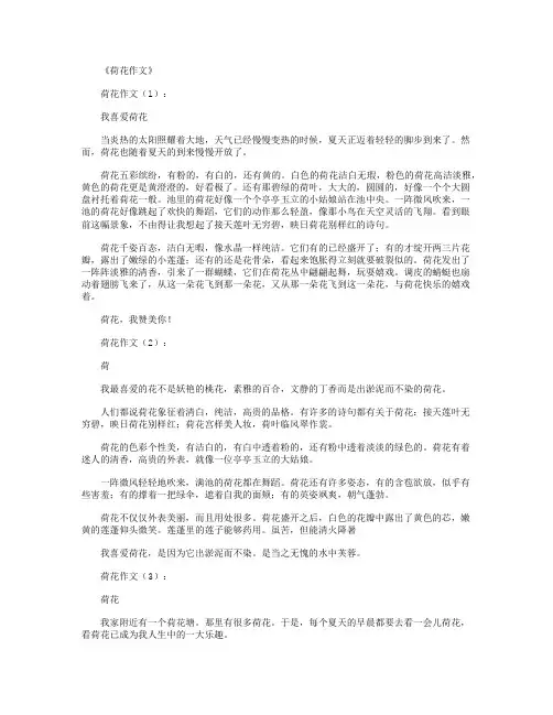 荷花作文(共15篇)