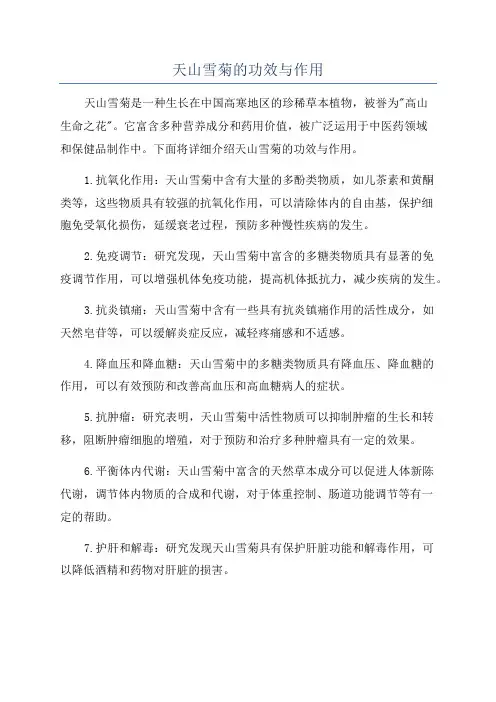 天山雪菊的功效与作用