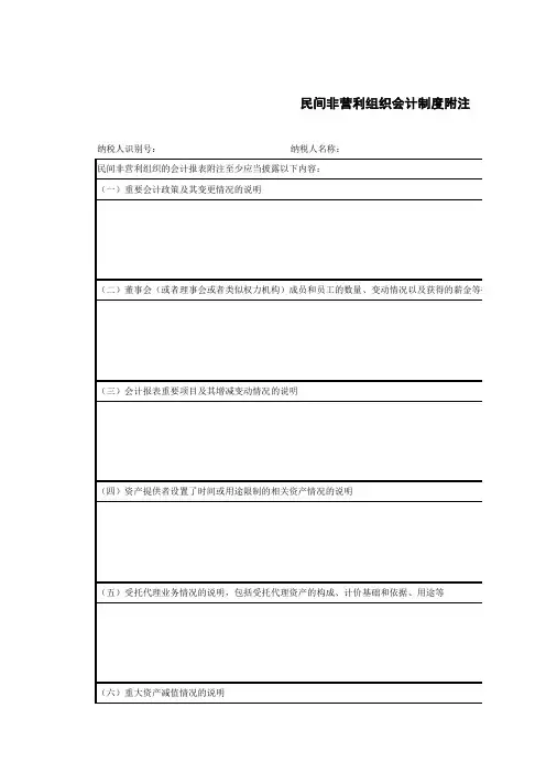 民间非营利组织财务报表