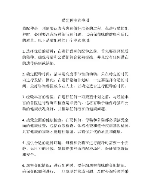 猫配种注意事项