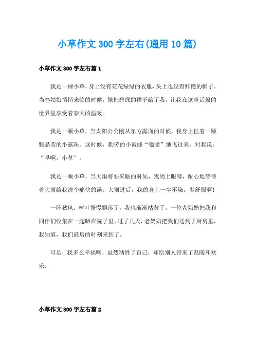 小草作文300字左右(通用10篇)
