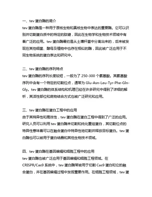 tev protease序列