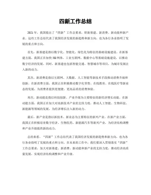 四新工作总结
