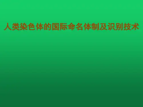 人类染色体的国际命名体制及识别技术