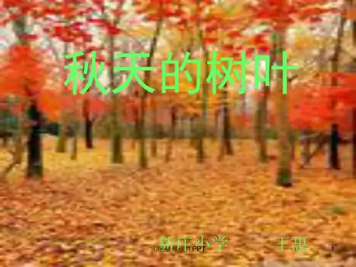 秋天的树叶_作文课件