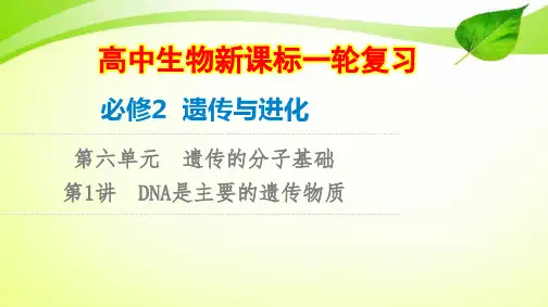 【新教材生物一轮复习】必修2 第6单元 第1讲 DNA是主要的遗传物质