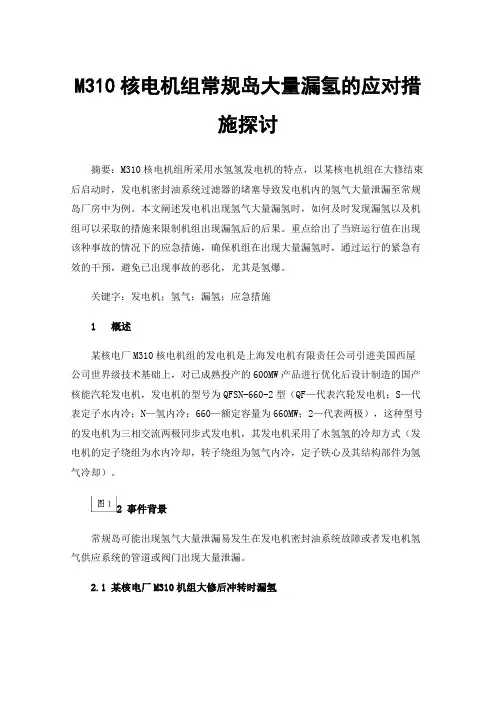 M310核电机组常规岛大量漏氢的应对措施探讨