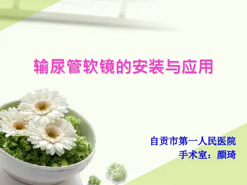 输尿管软镜的安装与应用课件