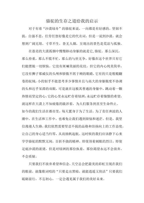 骆驼的生存之道给我的启示