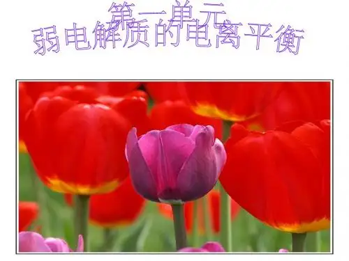 弱电解质的电离平衡