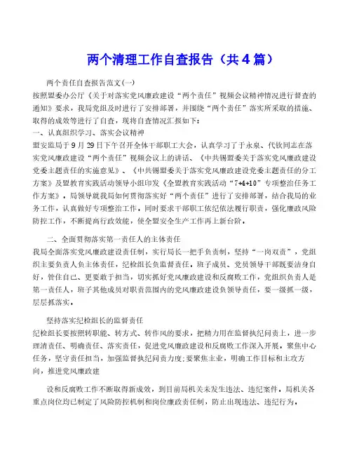两个清理工作自查报告(共4篇)