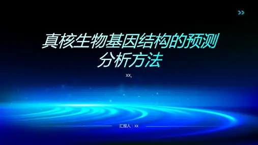 真核生物基因结构的预测分析方法