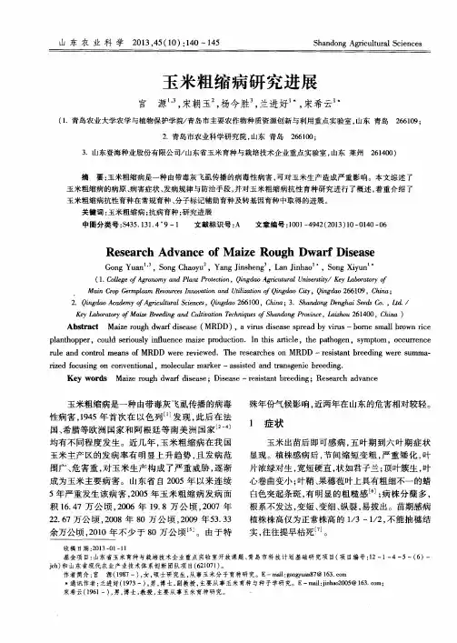 玉米粗缩病研究进展