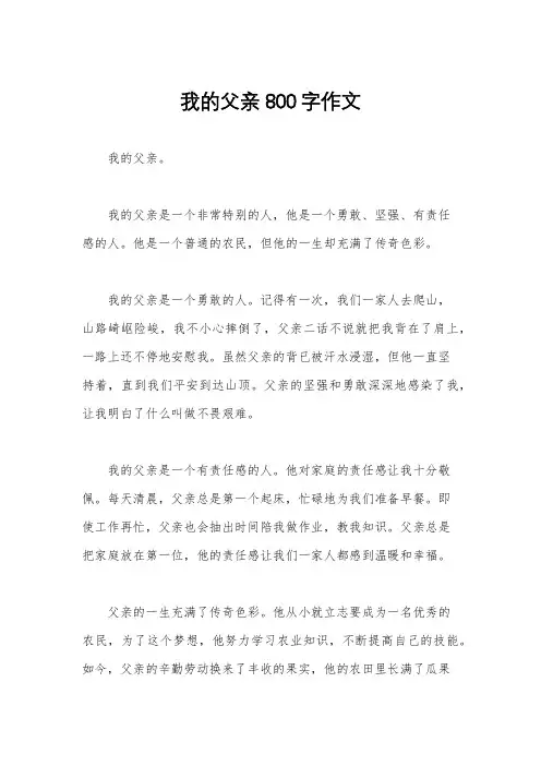 我的父亲800字作文