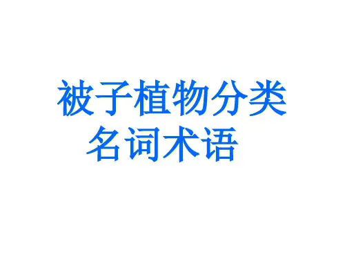被子植物分类学术语