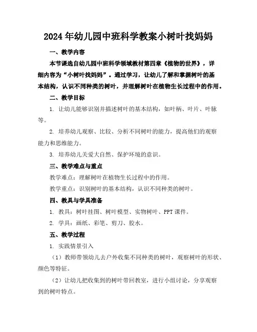 2024年幼儿园中班科学教案小树叶找妈妈