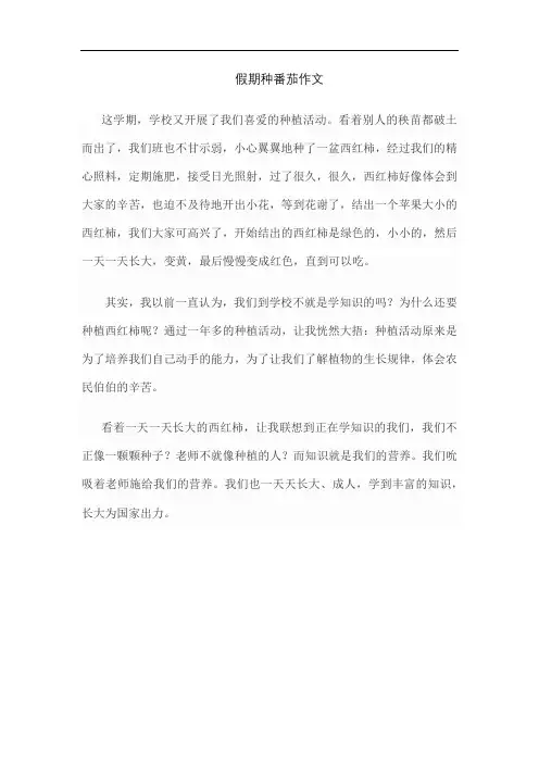 假期种番茄作文