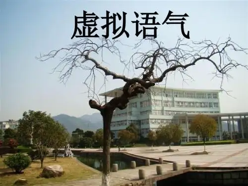 高中英语虚拟语气公开课精品课件_最全版