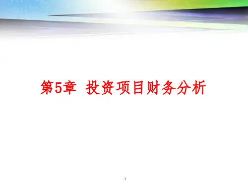 《投资项目财务分析》PPT课件