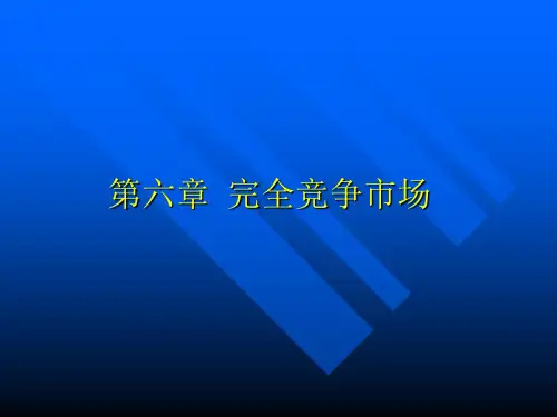 第六章 完全竞争市场