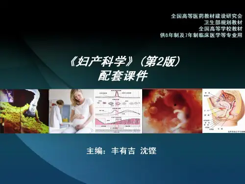 胎儿附属物异常