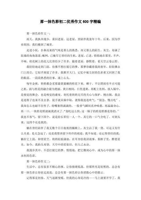 那一抹色彩初二优秀作文600字精编
