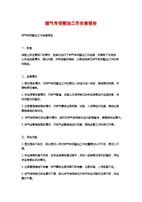 燃气专项整治工作自查报告
