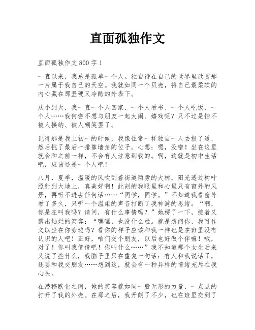 直面孤独作文