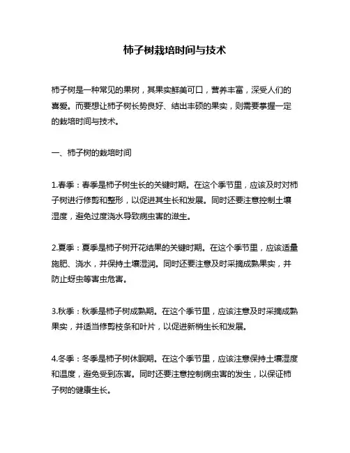 柿子树栽培时间与技术