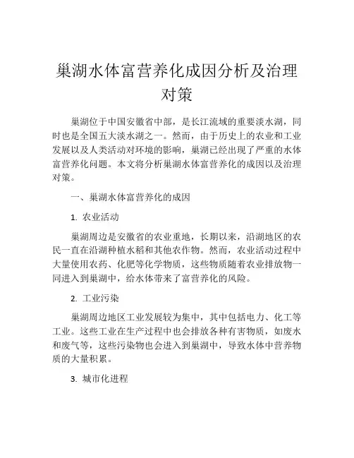 巢湖水体富营养化成因分析及治理对策