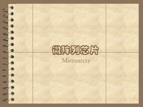 微阵列芯片