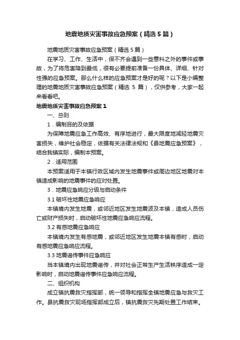 地震地质灾害事故应急预案（精选5篇）