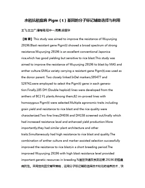 水稻抗稻瘟病 Pigm（t）基因的分子标记辅助选择与利用