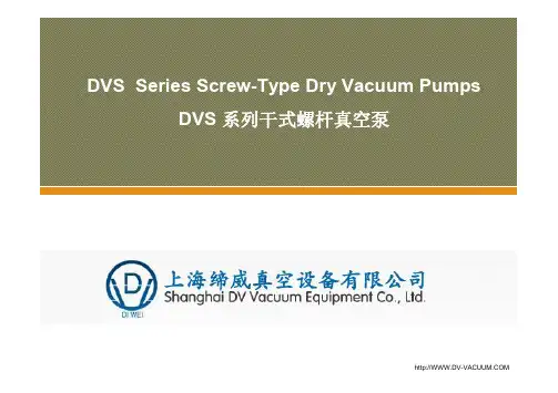 DVSSeriesScrew-TypeDryVacuumPumpsDVS系列干式螺杆真空泵