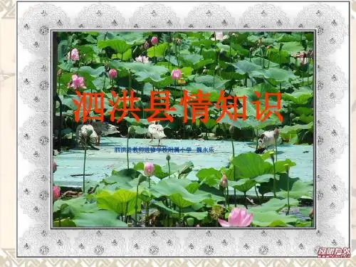 泗洪县情知识