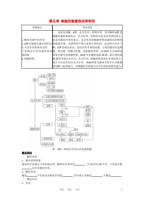 【非常讲练测】高三生物一轮复习 第一课时 降低化学反应活化能的酶精品学案 新人教版