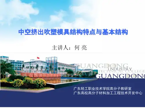 吹塑模具结构特点与基本结构(新).