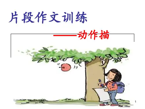 片段作文训练——动作描写--PPT课件