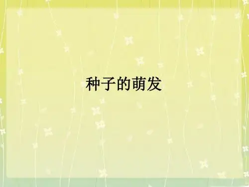 种子的萌发PPT课件31 1
