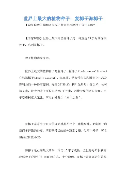 世界上最大的植物种子：复椰子海椰子