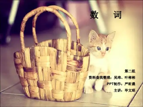 [现代汉语]数词