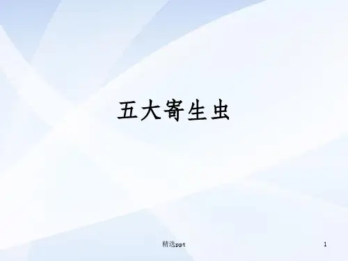 五大寄生虫