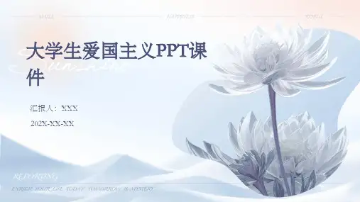 大学生爱国主义ppt课件