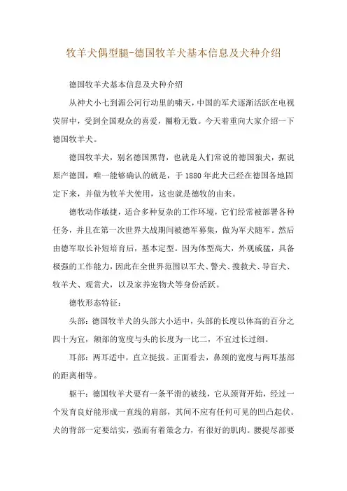牧羊犬偶型腿-德国牧羊犬基本信息及犬种介绍