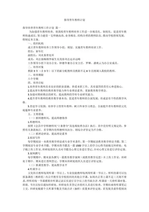 指导青年教师计划