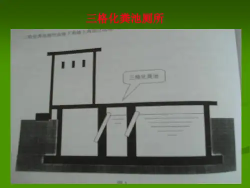 三格式厕所