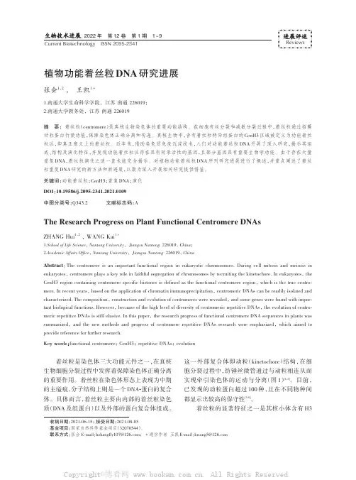 植物功能着丝粒DNA研究进展