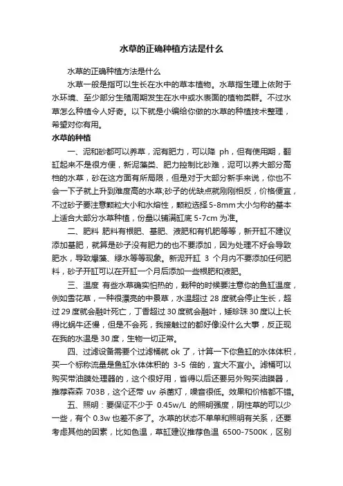 水草的正确种植方法是什么